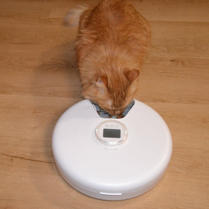 HungryWhisker - Whisker Sense Smart Feeder - HungryWhisker