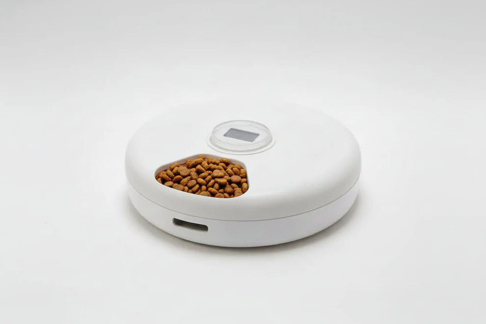 Automatic cat feeder